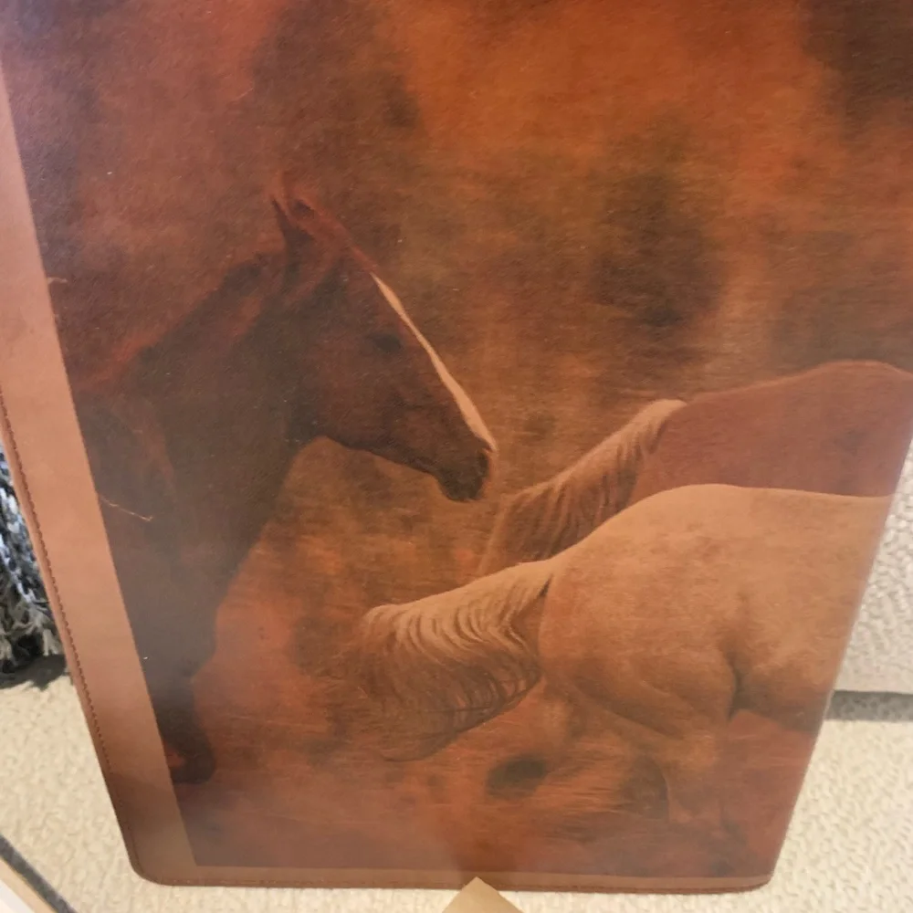 NEW Scully 🐴Leather Journal in Box!!!!💕